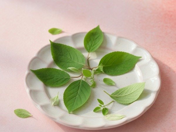 Gymnema sylvestre